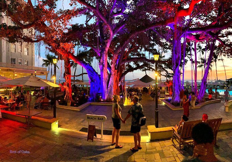 The Moana Surfrider Courtyard Sunset offers a breathtaking and serene view, with the vibrant colors of the sky reflecting on the pool, creating a picture-perfect moment to cherish. 🌅🌺