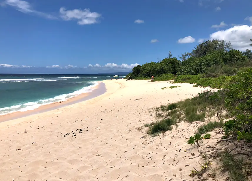 Mokuleia Beach on the north shore of Oahu.