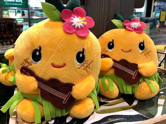 Oahu Airport Souvenirs Oahu Airport Souvenirs offer a wide selection of unique and locally-inspired gifts, allowing travelers to bring a piece of Hawaii's culture and beauty back home with them. ππΊ