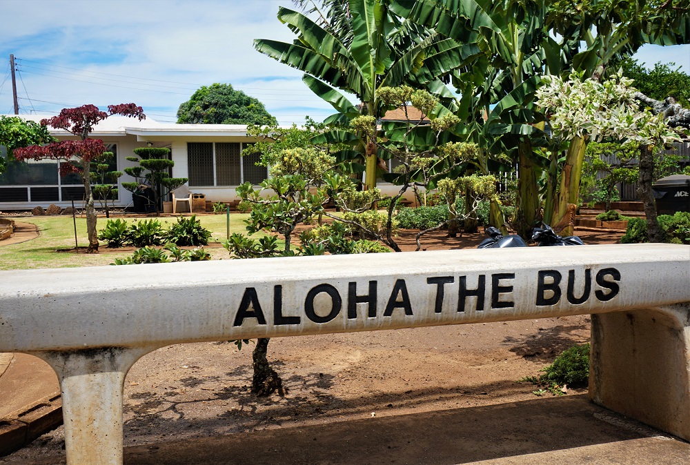 The Oahu Aloha Bus is a charming and colorful transportation option that allows visitors to explore the island with a touch of Hawaiian hospitality and a relaxed, laid-back vibe. 🚌🌺