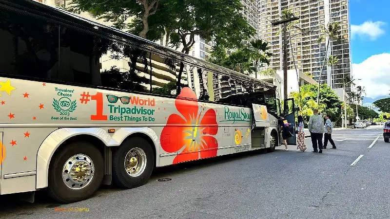 Oahu Circle Island Bus Tour, stop in Waikiki.