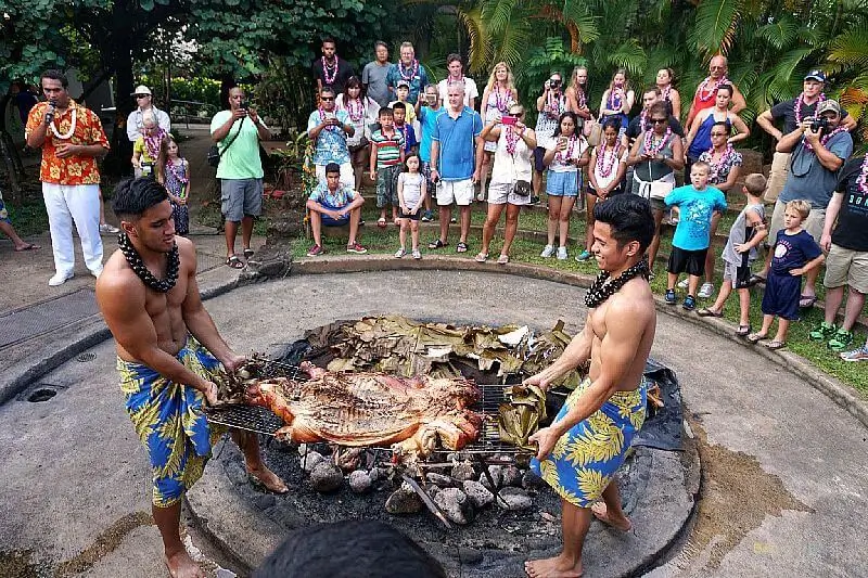 Polynesian Cultural Center Kalua Pig Polynesian Cultural Center Kalua Pig Ceremony, unearthing the cooked pork from the ground with 2 workers holding up the meat held together in a wire rack to a watchful viewing audiance.