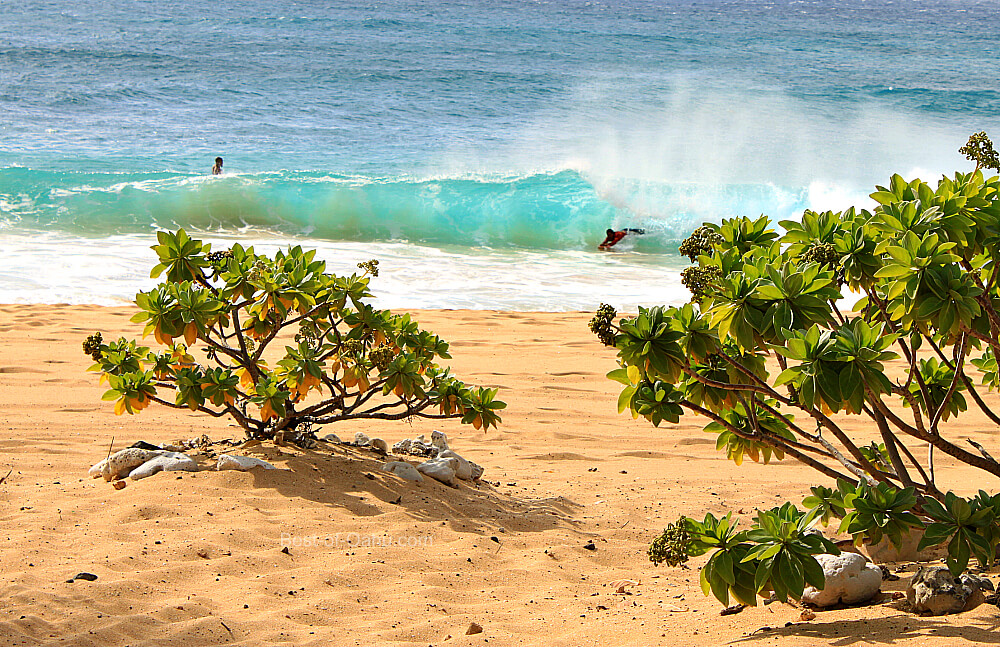 Sandy Beach Park