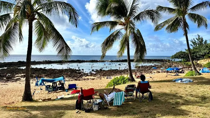 Sharks Cove Beach And Lawn Area