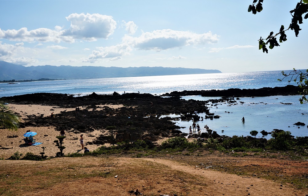 Sharks Cove is a captivating and vibrant underwater paradise on the North Shore, renowned for its crystal-clear waters, diverse marine life, and exceptional snorkeling and diving opportunities.