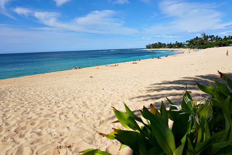 Sunset Beach North Shore