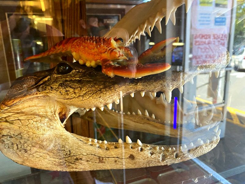 The Tamashiro Market Alligator Head is a unique and eye-catching item sold at the market, adding an exotic touch to the seafood and culinary offerings in Honolulu, Hawaii.