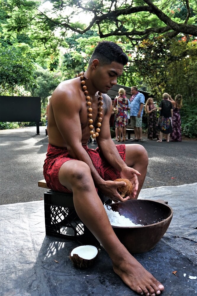 Toa Luau Coconut Shaving Activity