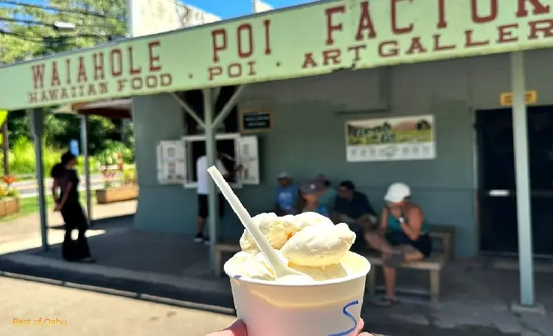Waiahole Poi Factory in the countryside, featuring their popular haupia ice cream.