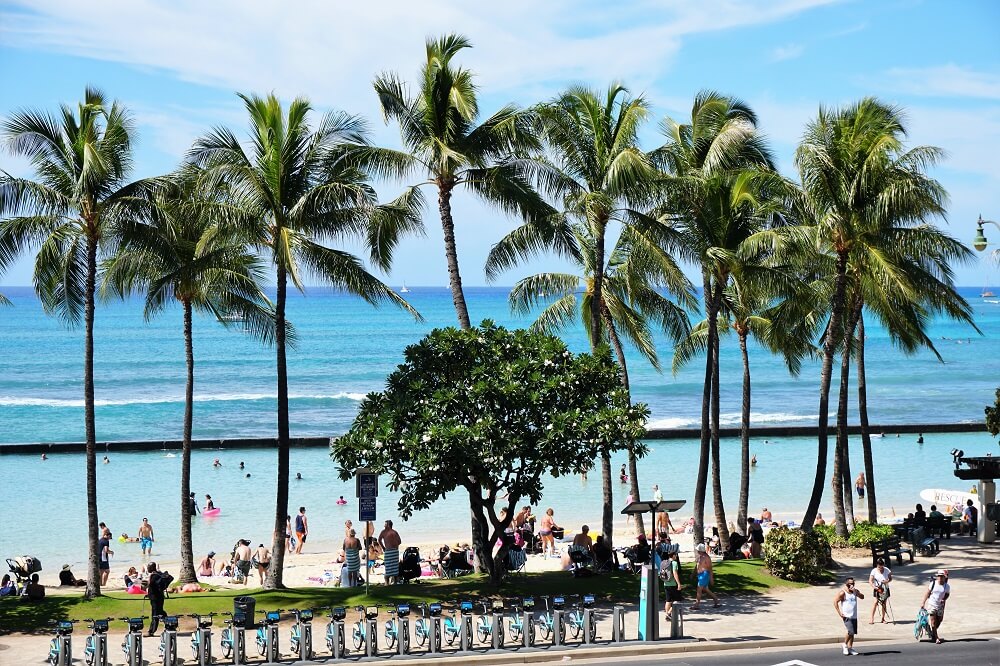 Waikiki Beach - 8 Beach Sections