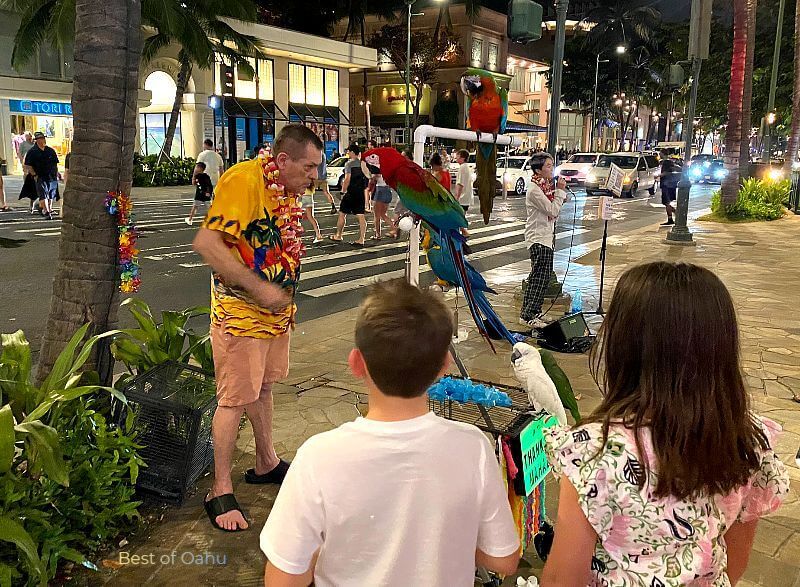 Waikiki International Market Place Bird Guy