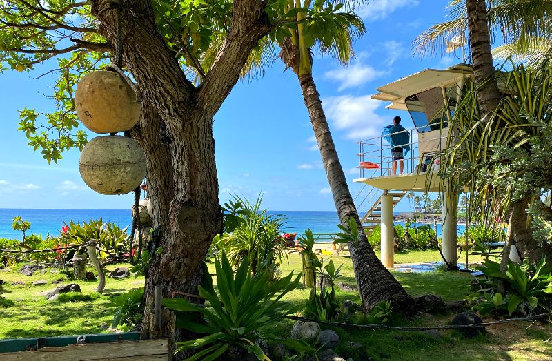 Waimea Bay Lifeguard The Waimea Bay Lifeguard stands as a vigilant guardian, ensuring the safety of beachgoers and surfers in one of Oahu's most renowned and challenging surf spots. ππ¨βπ