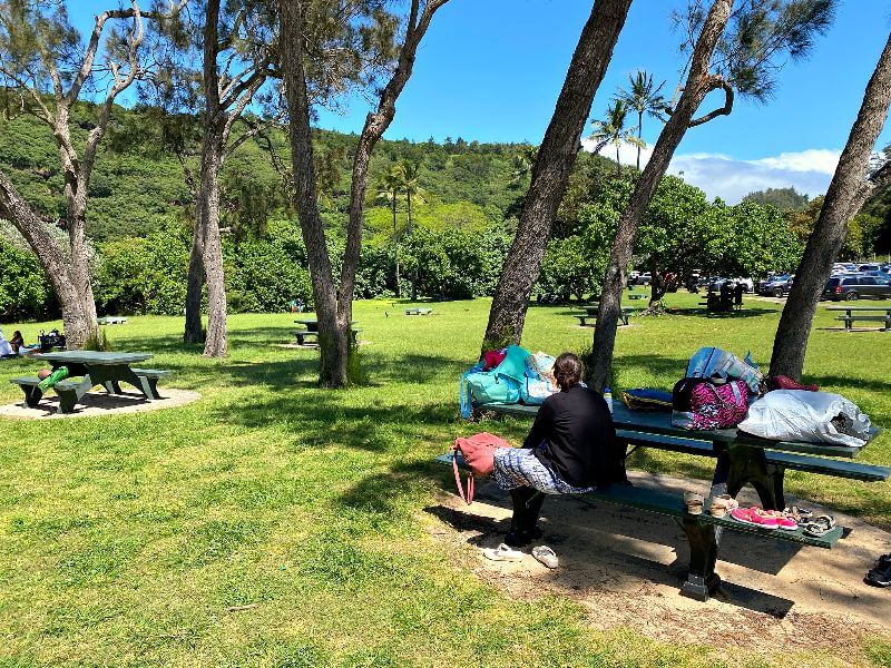 Waimea Bay Picnic Area The Waimea Bay Picnic Area offers a scenic and spacious spot for visitors to relax, enjoy a picnic, and take in the breathtaking views of the bay and surrounding natural beauty. ππ§Ί