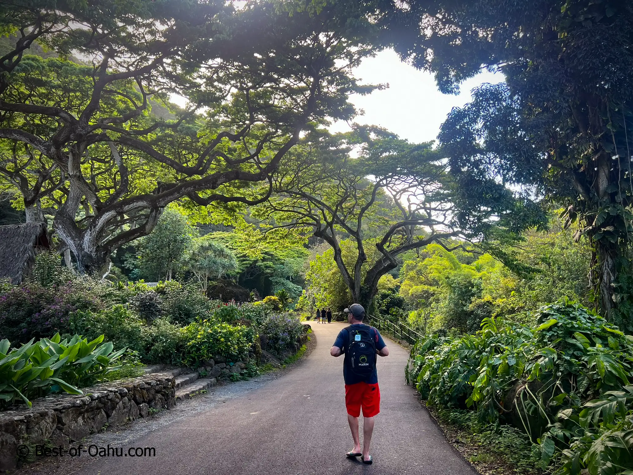 Waimea-Botanical-Gardens-Walk