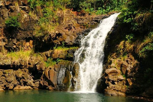 Waimea Falls Waimea Falls is a stunning and tranquil waterfall nestled within a lush botanical garden, providing a picturesque setting for swimming, hiking, and immersing oneself in the beauty of nature.