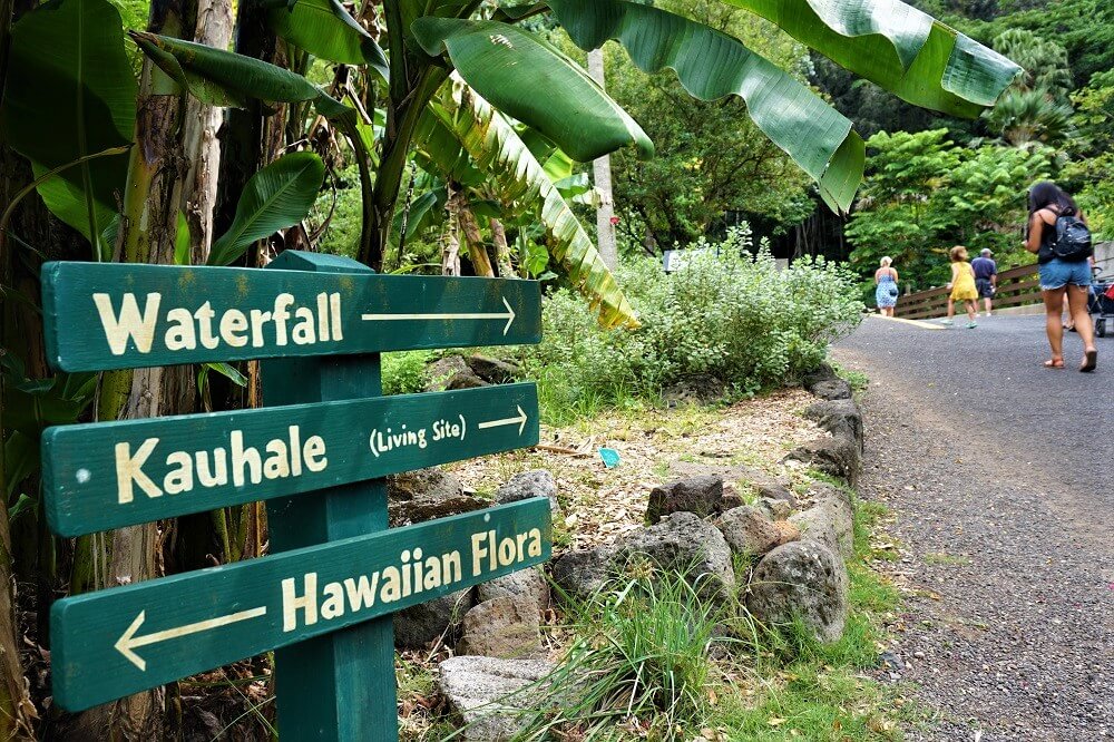 Waimea Falls Park Botanical Gardens In Waimea Valley