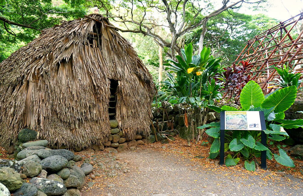The Waimea Valley Trail Hale is a picturesque and tranquil resting place along the Waimea Valley Trail, offering hikers a serene spot to relax and take in the natural beauty of the surroundings. 🌿🌺