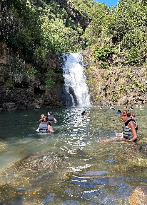 Waimea Valley Waterfall, playing in the water.