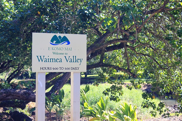 Waimea Falls Park Botanical Gardens In Waimea Valley