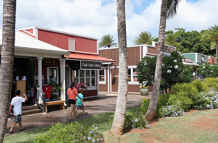 Things to do in Haleiwa