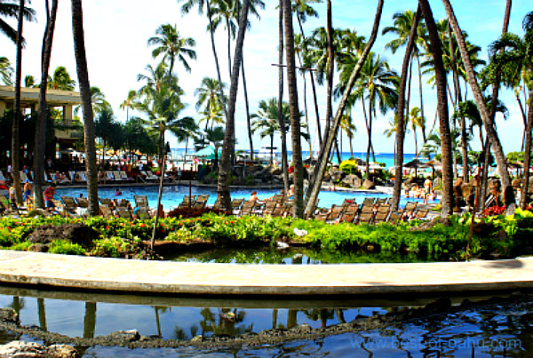 Hilton Hawaiian Village Pool