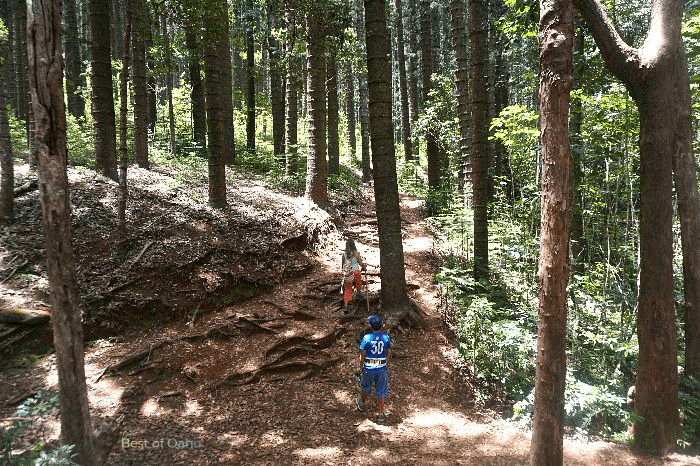 Judd Trail Path