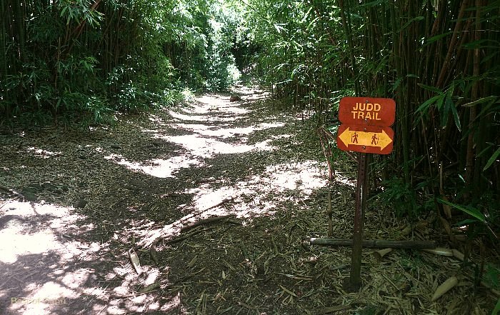 Judd Trail Sign