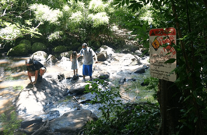 Judd Trail Stream Crossing