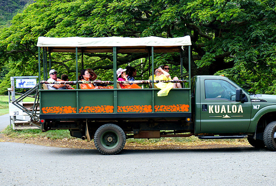 Kualoa Ranch Tours