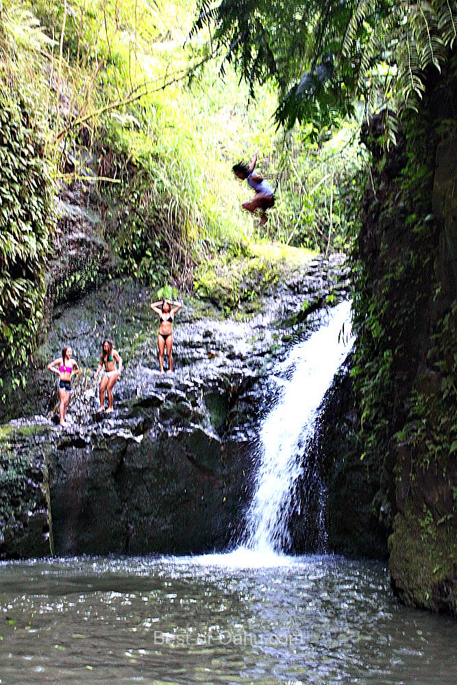 Maunawili Falls Jumper