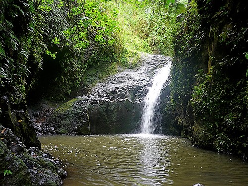 Maunawili Fall Trail