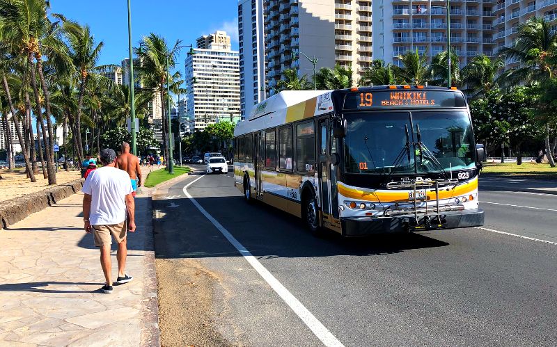 Oahu Bus Waikiki Beach