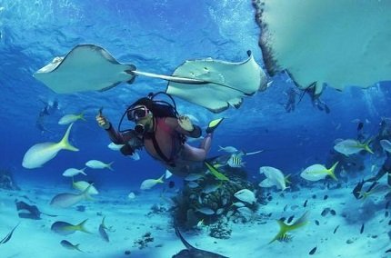 Oahu Scuba Diving Tour