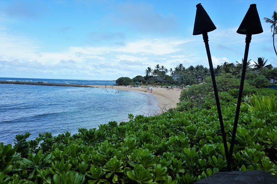 Turtle Bay Resort View