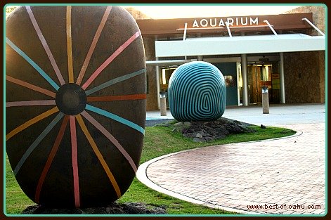 Waikiki Aquarium