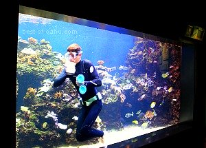 Waikiki Aquarium Exhibit