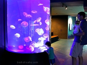 Waikiki Aquarium Exhibit
