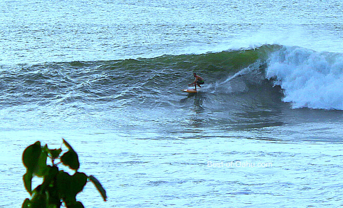 Hawaiian Surfing Waimea Bay